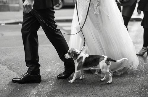 mobile - carousel-hero-element image-7